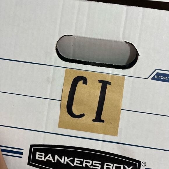 Adrianna Papell Cream and Black Lace Dress - Picture 15 of 15